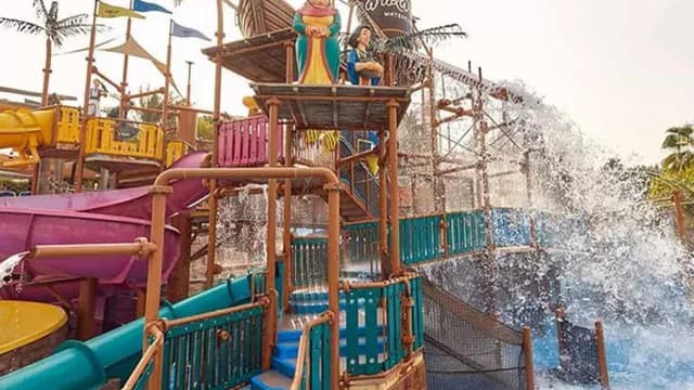 پارک آبی وایلد وادی دبی چه ویژگی‌های متمایزی دارد؟