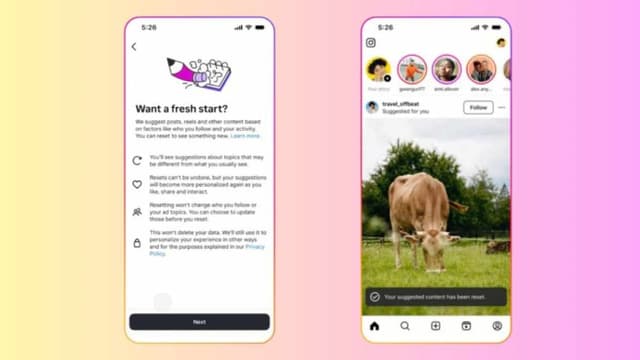 چطور الگوریتم اینستاگرام خود را ریست کنیم و تجربه‌ای تازه بسازیم؟