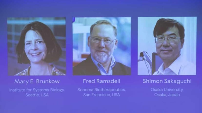 نوبل پزشکی 2025 به سه دانشمند برای کشف سلول‌های کنترل‌کننده ایمنی بدن رسید